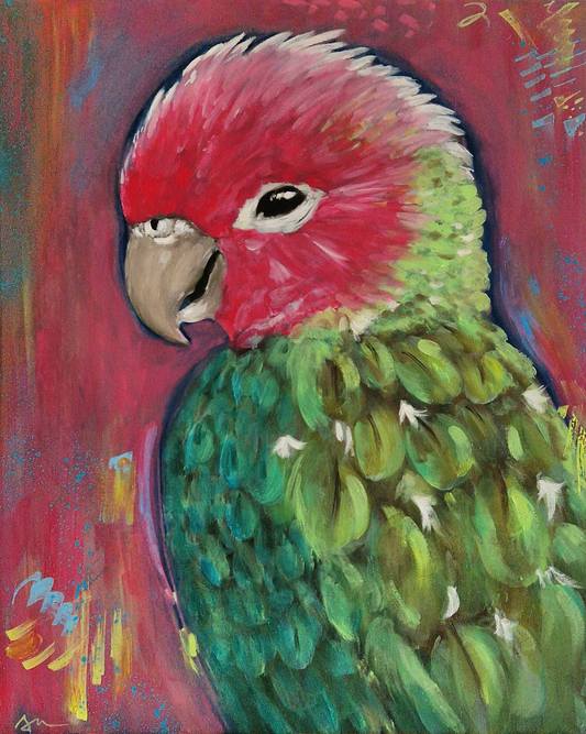 "Parrot on Abstract" Original Oil Painting 40x50cm